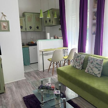 Center Cosy Vintage Apartment Novi Sad Exteriér fotografie