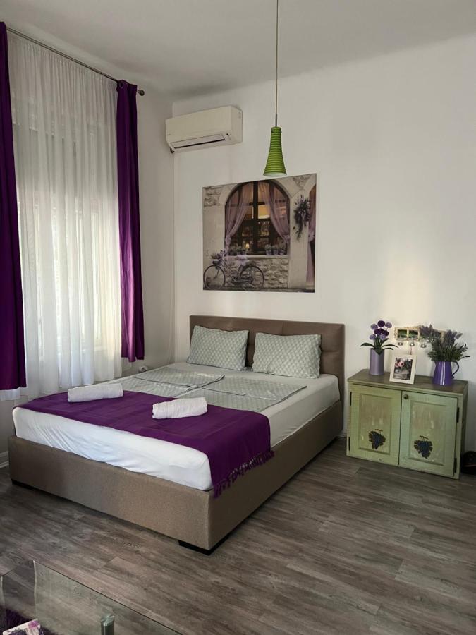 Center Cosy Vintage Apartment Novi Sad Exteriér fotografie