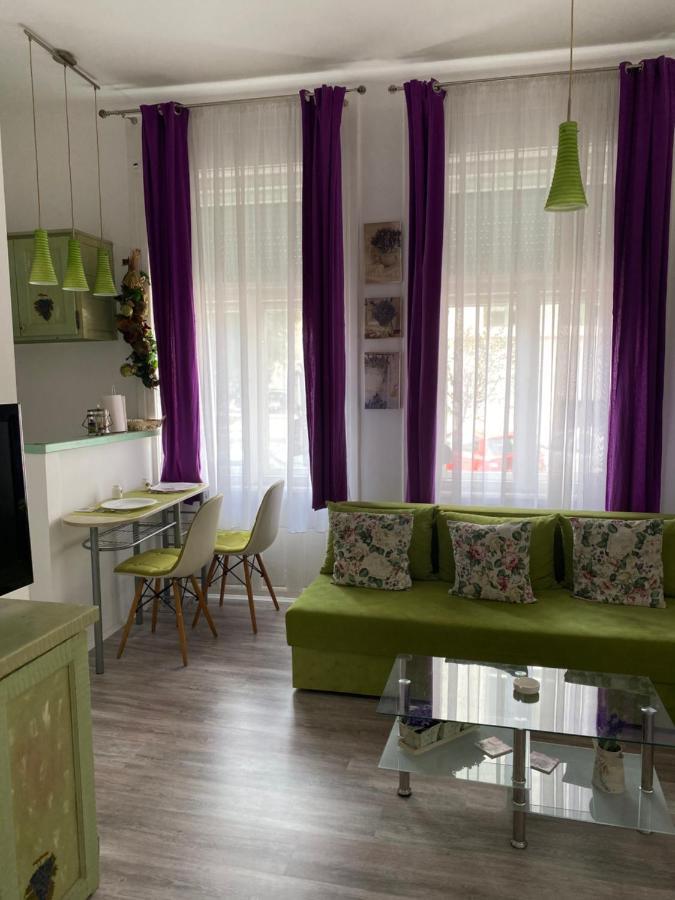 Center Cosy Vintage Apartment Novi Sad Exteriér fotografie