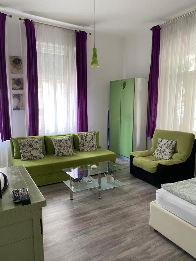 Center Cosy Vintage Apartment Novi Sad Exteriér fotografie