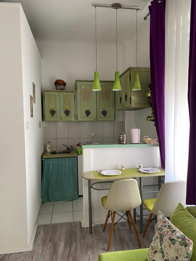 Center Cosy Vintage Apartment Novi Sad Exteriér fotografie