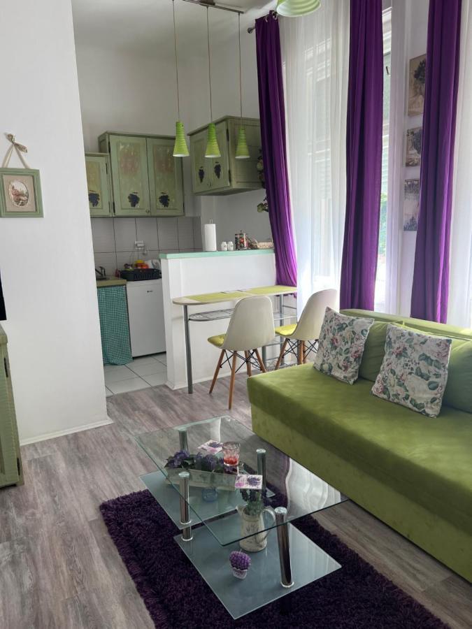 Center Cosy Vintage Apartment Novi Sad Exteriér fotografie